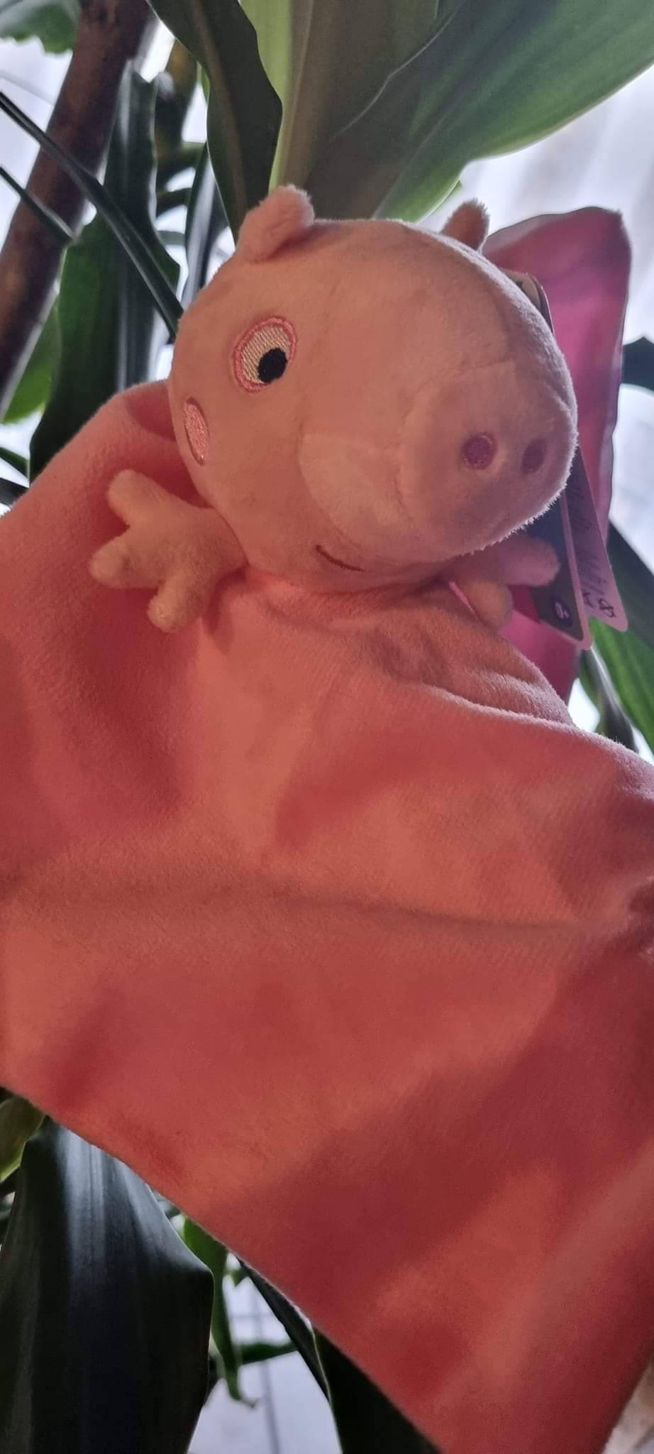Doudou Pepa Pig personnalisable